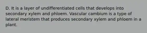 D. It is a layer of undifferentiated cells that develops into secondary xylem and phloem. Vascular cambium is a type of lateral meristem that produces secondary xylem and phloem in a plant.