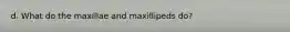 d. What do the maxillae and maxillipeds do?