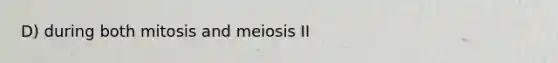 D) during both mitosis and meiosis II