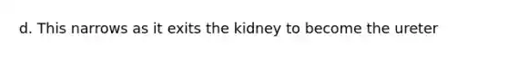 d. This narrows as it exits the kidney to become the ureter