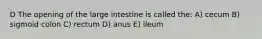 D The opening of the large intestine is called the: A) cecum B) sigmoid colon C) rectum D) anus E) ileum
