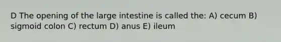 D The opening of the <a href='https://www.questionai.com/knowledge/kGQjby07OK-large-intestine' class='anchor-knowledge'>large intestine</a> is called the: A) cecum B) sigmoid colon C) rectum D) anus E) ileum