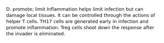 D. promote; limit Inflammation helps limit infection but can damage local tissues. It can be controlled through the actions of helper T cells. TH17 cells are generated early in infection and promote inflammation. Treg cells shoot down the response after the invader is eliminated.