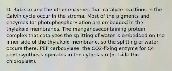 D. Rubisco and the other enzymes that catalyze reactions in the Calvin cycle occur in the stroma. Most of the pigments and enzymes for photophosphorylation are embedded in the thylakoid membranes. The manganesecontaining protein complex that catalyzes the splitting of water is embedded on the inner side of the thylakoid membrane, so the splitting of water occurs there. PEP carboxylase, the CO2-fixing enzyme for C4 photosynthesis operates in the cytoplasm (outside the chloroplast).