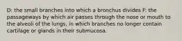 D: the small branches into which a bronchus divides F: the passageways by which air passes through the nose or mouth to the alveoli of the lungs, in which branches no longer contain cartilage or glands in their submucosa.