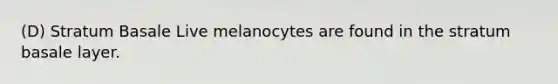 (D) Stratum Basale Live melanocytes are found in the stratum basale layer.