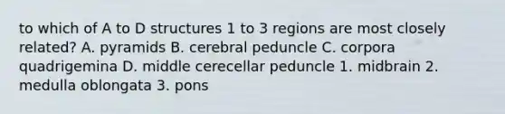 to which of A to D structures 1 to 3 regions are most closely related? A. pyramids B. cerebral peduncle C. corpora quadrigemina D. middle cerecellar peduncle 1. midbrain 2. medulla oblongata 3. pons