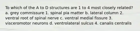 To which of the A to D structures are 1 to 4 most closely related? a. grey commissure 1. spinal pia matter b. lateral column 2. ventral root of spinal nerve c. ventral medial fissure 3. visceromotor neurons d. ventrolateral sulcus 4. canalis centralis