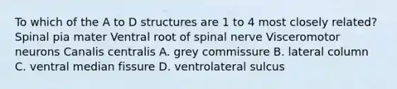 To which of the A to D structures are 1 to 4 most closely related? Spinal pia mater Ventral root of spinal nerve Visceromotor neurons Canalis centralis A. grey commissure B. lateral column C. ventral median fissure D. ventrolateral sulcus