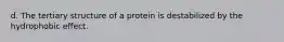 d. The tertiary structure of a protein is destabilized by the hydrophobic effect.