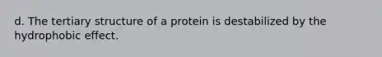 d. The tertiary structure of a protein is destabilized by the <a href='https://www.questionai.com/knowledge/k0DEN5rKnk-hydrophobic-effect' class='anchor-knowledge'>hydrophobic effect</a>.