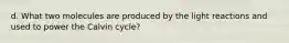 d. What two molecules are produced by the light reactions and used to power the Calvin cycle?