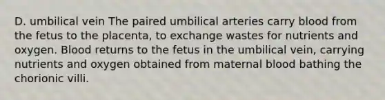 D. umbilical vein The paired umbilical arteries carry blood from the fetus to the placenta, to exchange wastes for nutrients and oxygen. Blood returns to the fetus in the umbilical vein, carrying nutrients and oxygen obtained from maternal blood bathing the chorionic villi.