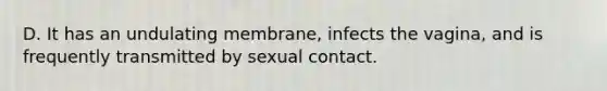 D. It has an undulating membrane, infects the vagina, and is frequently transmitted by sexual contact.