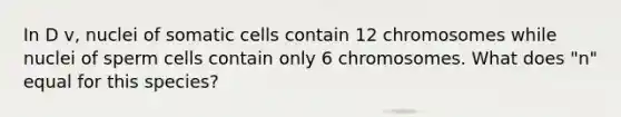 In D v, nuclei of somatic cells contain 12 chromosomes while nuclei of sperm cells contain only 6 chromosomes. What does "n" equal for this species?