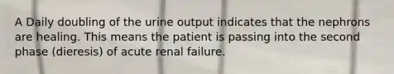 A Daily doubling of the urine output indicates that the nephrons are healing. This means the patient is passing into the second phase (dieresis) of acute renal failure.