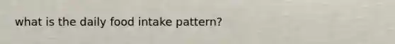 what is the daily food intake pattern?