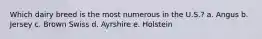 Which dairy breed is the most numerous in the U.S.? a. Angus b. Jersey c. Brown Swiss d. Ayrshire e. Holstein