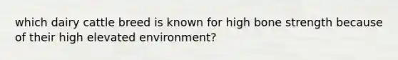 which dairy cattle breed is known for high bone strength because of their high elevated environment?