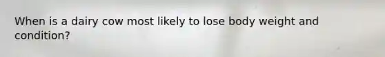 When is a dairy cow most likely to lose body weight and condition?