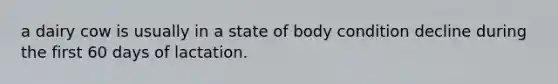 a dairy cow is usually in a state of body condition decline during the first 60 days of lactation.