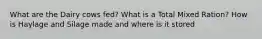What are the Dairy cows fed? What is a Total Mixed Ration? How is Haylage and Silage made and where is it stored