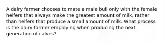 A dairy farmer chooses to mate a male bull only with the female heifers that always make the greatest amount of milk, rather than heifers that produce a small amount of milk. What process is the dairy farmer employing when producing the next generation of calves?