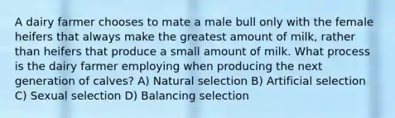 A dairy farmer chooses to mate a male bull only with the female heifers that always make the greatest amount of milk, rather than heifers that produce a small amount of milk. What process is the dairy farmer employing when producing the next generation of calves? A) Natural selection B) Artificial selection C) Sexual selection D) Balancing selection