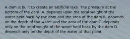 A dam is built to create an artificial lake. The pressure at the bottom of the dam: A. depends upon the total weight of the water held back by the dam and the area of the dam B. depends on the depth of the water and the area of the dam C. depends only on the total weight of the water held back by the dam D. depends only on the depth of the water at that point