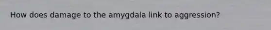 How does damage to the amygdala link to aggression?