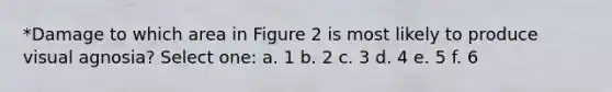 *Damage to which area in Figure 2 is most likely to produce visual agnosia? Select one: a. 1 b. 2 c. 3 d. 4 e. 5 f. 6