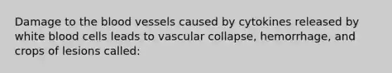 Damage to the blood vessels caused by cytokines released by white blood cells leads to vascular collapse, hemorrhage, and crops of lesions called: