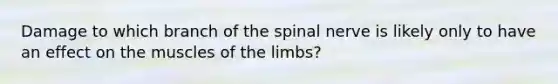 Damage to which branch of the spinal nerve is likely only to have an effect on the muscles of the limbs?