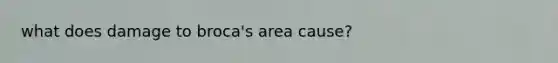 what does damage to broca's area cause?