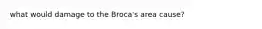 what would damage to the Broca's area cause?