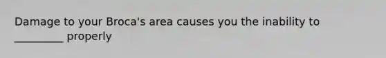 Damage to your Broca's area causes you the inability to _________ properly