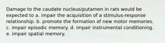 Damage to the caudate nucleus/putamen in rats would be expected to a. impair the acquisition of a stimulus-response relationship. b. promote the formation of new motor memories. c. impair episodic memory. d. impair instrumental conditioning. e. impair spatial memory.