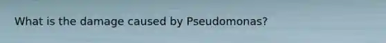 What is the damage caused by Pseudomonas?