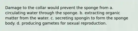 Damage to the collar would prevent the sponge from a. circulating water through the sponge. b. extracting organic matter from the water. c. secreting spongin to form the sponge body. d. producing gametes for sexual reproduction.