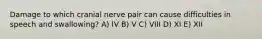 Damage to which cranial nerve pair can cause difficulties in speech and swallowing? A) IV B) V C) VIII D) XI E) XII