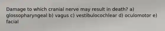 Damage to which cranial nerve may result in death? a) glossopharyngeal b) vagus c) vestibulocochlear d) oculomotor e) facial