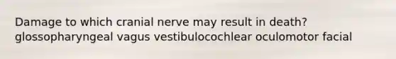 Damage to which cranial nerve may result in death? glossopharyngeal vagus vestibulocochlear oculomotor facial