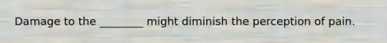 Damage to the ________ might diminish the perception of pain.