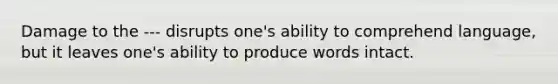 Damage to the --- disrupts one's ability to comprehend language, but it leaves one's ability to produce words intact.