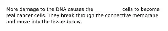 More damage to the DNA causes the ___________ cells to become real cancer cells. They break through the connective membrane and move into the tissue below.