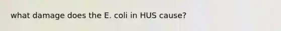 what damage does the E. coli in HUS cause?