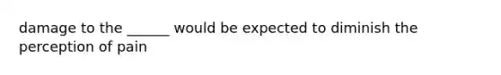 damage to the ______ would be expected to diminish the perception of pain