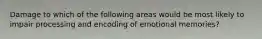 Damage to which of the following areas would be most likely to impair processing and encoding of emotional memories?