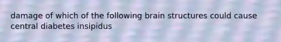 damage of which of the following brain structures could cause central diabetes insipidus