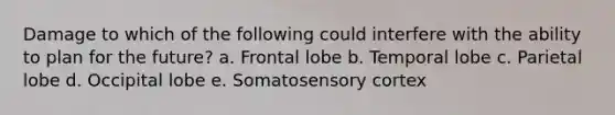 Damage to which of the following could interfere with the ability to plan for the future? a. Frontal lobe b. Temporal lobe c. Parietal lobe d. Occipital lobe e. Somatosensory cortex